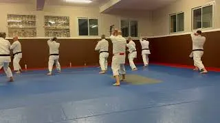 Miniature : Karate club fosséen