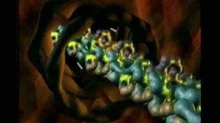Miniature : Déchiffrer les mystères de la vie (3/5)