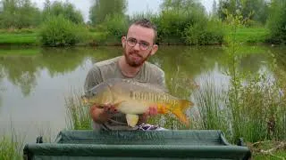 Miniature : Les carpes deviennent FOLLES au coup !