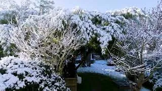 Miniature : Drone Sphère | A Bon Escient : Angers - Ste Gemme-sur-Loire - Bouchemaine sous la neige de 2026.
