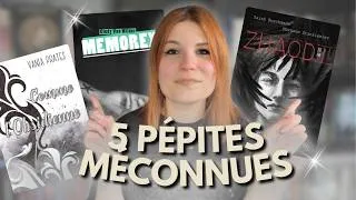Miniature : 🌟 Ces pépites littéraires dont personne ne parle 🌟