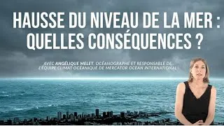 Miniature : Hausse du niveau de la mer : causes, projections et adaptation face au changement climatique