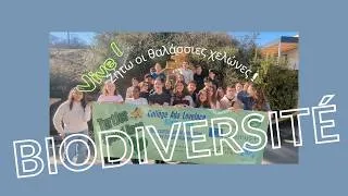 Miniature : Des éco-délégués mobilisés pour les tortues marines