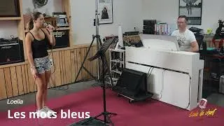 Miniature : Les mots bleus - Loelia - Cover