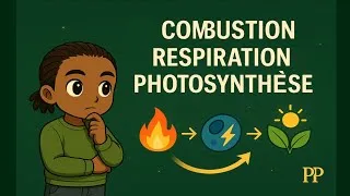 Miniature : Combustion et Photosynthèse