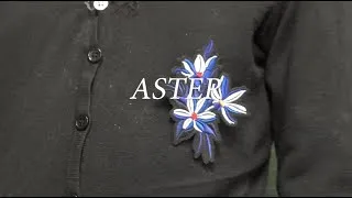 Miniature : Aster