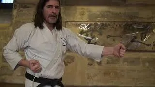 Miniature : Karaté pour débutant