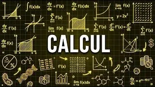 Miniature : Calcul avec de vrais exemples : dérivées et intégrales vraiment appliquées