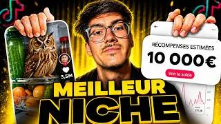 Miniature : Je révèle la MEILLEURE niche TikTok pour devenir VIRAL en 2026