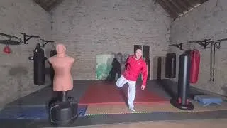 Miniature : Bienvenue dans le Dojang privé de L'ACADÉMY PICHEREAU: échauffement