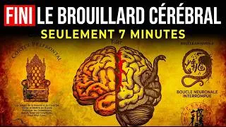 Miniature : Le rituel matinal DANGEREUX de 7 minutes qui RECÂCHE votre cerveau