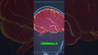 Miniature : Découvrez comment notre dépendance aux appareils numériques est lié à la dopamine