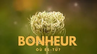 Miniature : Comment trouver le BONHEUR ?