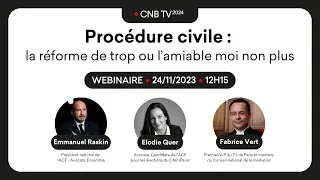 Miniature : Procédure civile : la réforme de trop ou l amiable moi non plus (CNB 2024)