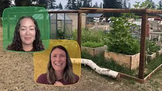 Miniature : Quand le jardin scolaire devient une passion communautaire