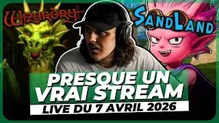 Miniature : Cette fois, on dirait presque un vrai stream ! - Live du 07/04/26