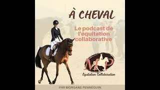 Miniature : 187. [Paroles de propriétaire] Le cadre comme moyen de sécuriser mon cheval avec Julie, propriéta...