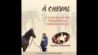 Miniature : 186.  [Paroles de propriétaires] Sur le papier ça cochait toutes les cases, et pourtant... Avec S...