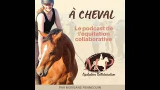 Miniature : 185. Quand le mental du cheval compense son physique et vice versa