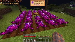 Miniature : Sunlit Valley 🌾 Minecraft FR — Astuce Minerai et Le Champ Ultime (EP29)