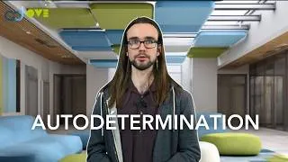 Miniature : L'AUTODETERMINATION