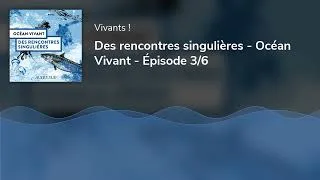 Miniature : Des rencontres singulières - Océan Vivant - Épisode 3/6
