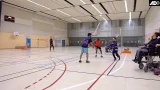 Miniature : Inclusion - Baskin : le jeu d'opposition