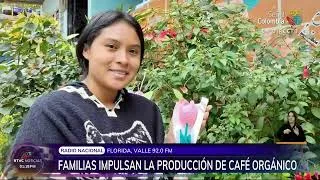 Miniature : À la découverte du café agroécologique en Colombie - Asociacion ASOACIR,  | TERSAA - NOTA RTVC