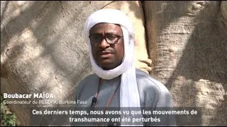 Miniature : Quand l'insécurité redessine l'agropastoralisme - Pt.2 Les mutations agropastorales