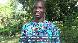 Miniature : Quand l'insécurité redessine l'agropastoralisme - Pt.1 Le système AVAIL