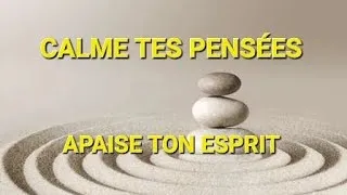 Miniature : Musique qui Calme les pensées et apaise l'esprit en évacuant les émotions négatives