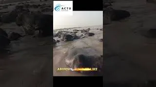 Miniature : 😱 Catastrophe naturelle filmée en direct : une ville engloutie par la pluie (⚡😱🔥)