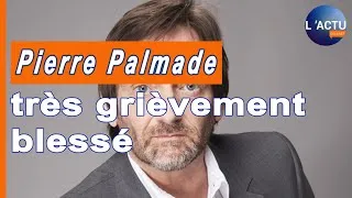 Miniature : L'humoriste Pierre Palmade très grièvement blessé dans un accident de la route