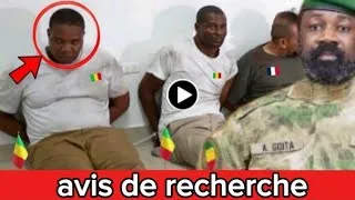 Miniature : 🚨 Urgent : Le Gouvernement Malien Offre une Prime pour Capturer des Terroristes Recherchés