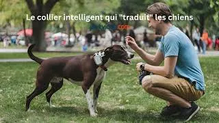 Miniature : Actu IA en 5 min du 26/10/24