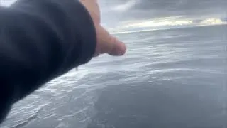 Miniature : Des nouvelles de Arnaud Boissières  transat jacques vabre 2021 !