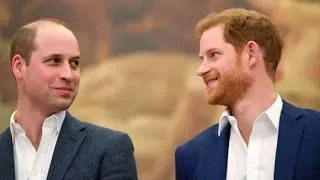 Miniature : Le prince Harry et le prince William prêts à se retrouver dès le retour du duc au Royaume Uni – mais