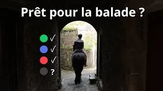 Miniature : Préparer son cheval pour sortir en extérieur : Ma méthode de A à Z