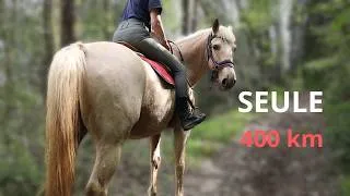 Miniature : J’ai décidé de partir seule avec mes chevaux (400 km en autonomie)