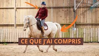 Miniature : 1 mois de dressage avec mon cheval Hawai, ce que j'ai appris
