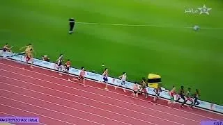 Miniature : سفيان البقالي بطل العالم Soufiane elbakkali champion du monde 3000m steeple