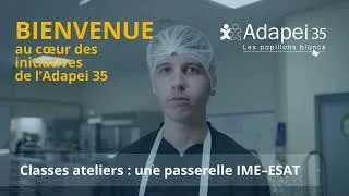 Miniature : Les classes ateliers, une passerelle IME-ESAT