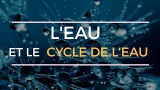 Miniature : L'eau et le déroulement du cycle de l'eau sur terre