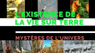 Miniature : L'existence des êtres vivants sur la terre