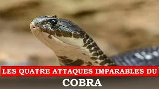 Miniature : Comment la nature a transformé le cobra en arme vivante ? #Cobra #Évolution #Science #Nature