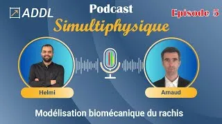 Miniature : Modélisation biomécanique du rachis : enjeux cliniques, matériaux et jumeaux numériques