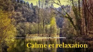 Miniature : Relaxation en Nature : Musique Douce et Paysages Calmes pour Se Détendre ou méditer.