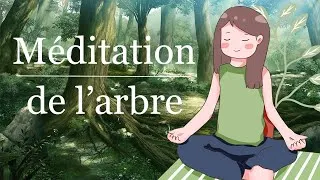 Miniature : Méditation Guidée | Respiration de l'Arbre