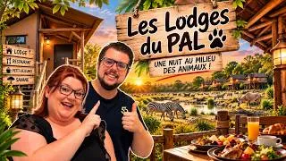 Miniature : ON A DORMI EN PLEINE SAVANE… EN FRANCE ! 😱 | Les Lodges du PAL