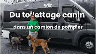 Miniature : Véronique, la toiletteuse itinérante des Alpes-de-Haute-Provence soutenue par l'Adie